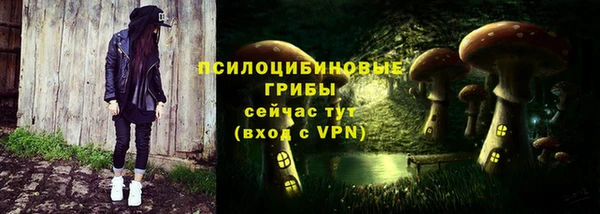 МДПВ Абдулино