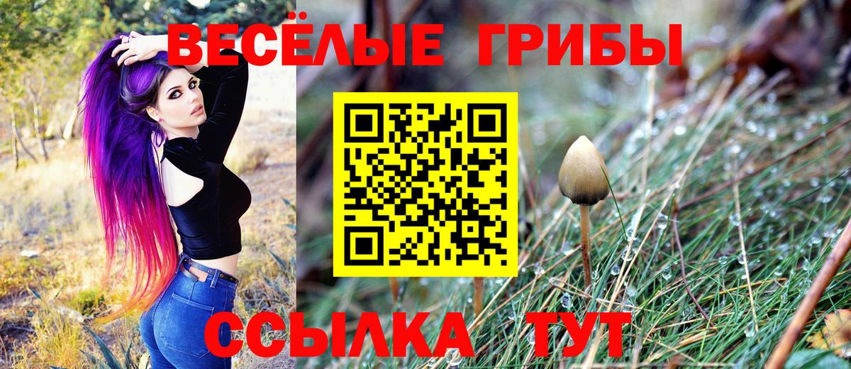 Галлюциногенные грибы GOLDEN TEACHER Бугуруслан